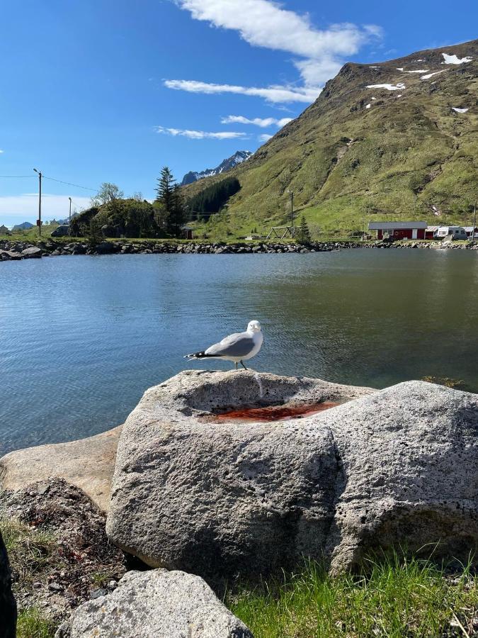 Brustranda Fjordcamping Valberg 外观 照片